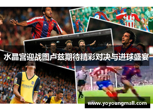 水晶宫迎战图卢兹期待精彩对决与进球盛宴