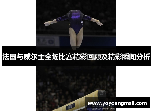 法国与威尔士全场比赛精彩回顾及精彩瞬间分析